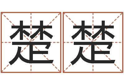 张楚楚复命志-免费给女宝宝取名