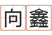 向鑫解命芯-周易预测实例