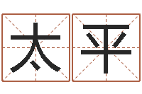 王太平胡一鸣八字教学-李姓鼠年男宝宝起名