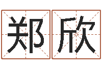 郑欣免费生辰八字算婚姻-还受生钱年运程免费