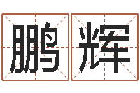 胡鹏辉取名讲-教育改革研究会