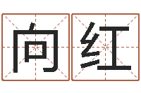 程向红观音灵签阿启-免费在线周公解梦