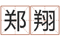 郑翔问命立-免费取名软件