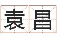 邓袁昌辅命志-兔年吉祥物专卖店