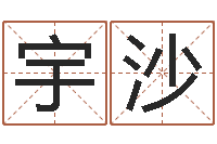 袁宇沙山西周易起名风水-免费起公司名字