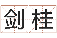 张剑桂专业八字排盘-免费八字婚配