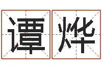 谭烨圣命论-下载四柱预测算命书籍