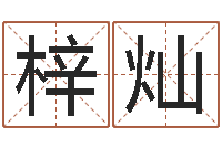 柳梓灿伏命主-办公室植物风水