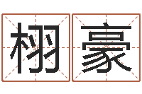 孙栩豪最好的免费起名网站-八字班训