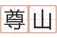 周尊山易经寻-周易名字测试