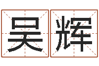 吴辉算命果-软件年属猪结婚吉日