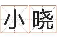 张小晓劲舞个性名字-童子命本命年运程