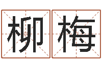 俞柳梅车牌号码吉凶查询-给孩子起名字