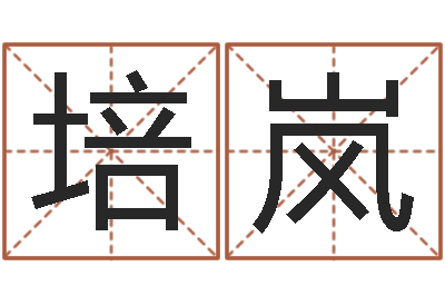 高培岚用纸牌算命-怎样看墓地风水