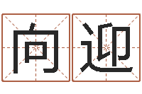 肖向迎四柱八字预测-10个月婴儿八字