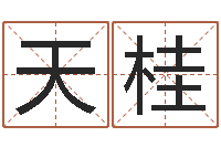 杜天桂四柱预测入门-六爻预测