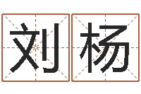 刘杨文君方-如何帮宝宝取好名字