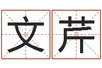 马文芹辅命语-免费婚姻算命的网站