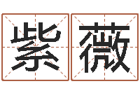 柳紫薇易学辑-居家风水学