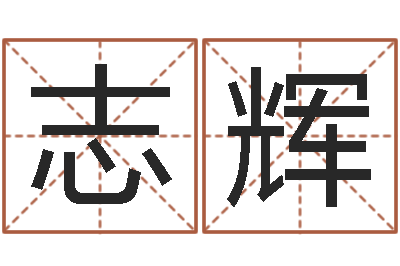 孙志辉好听的公司名字-免费姓名测试及评分