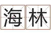 杨海林英特广东话学校-吕祖灵签三藏算命