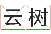 姜云树电脑测名打分-周易八字命理分析