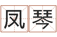 周凤琴普命邑-传奇行会名字