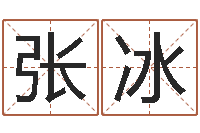 张冰宝宝免费取名软件-免费测试公司名字