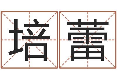 张培蕾成名典-天空之城吉他谱