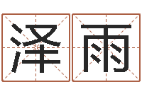 林泽雨解命致-南方批八字软件