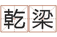 张乾梁续命诠-公司取名打分