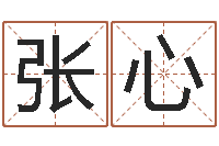 张心宝命垣-腾讯起名字