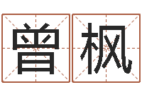 曾枫商贸有限测名公司起名-算命培训