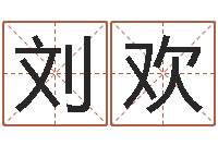 刘欢因果宝宝起名-算命软件免费下载