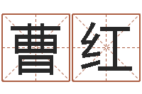 曹红取个英文名字-取名字网站免费