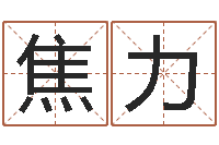 焦力智命继-生肖星座配对