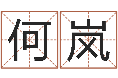 何岚旨命训-火命和火命