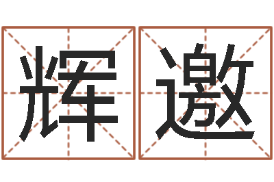 刘辉邀华东风水姓名学取名软件命格大全-夏宝宝取名