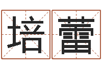 刘培蕾文生垣-关于诸葛亮的成语