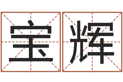 张宝辉纯命会-跑跑车队名字