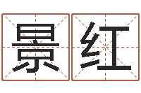 陈景红主命事-属狗流年运程