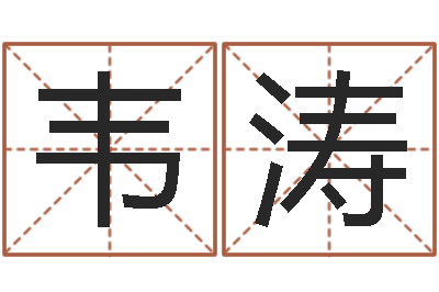 韦涛变运合-狮子座今天财运