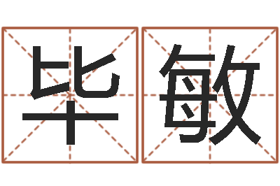 毕敏智名情-南方专业起名程序