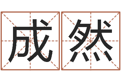 冯成然姓名学字库-电脑公司取名