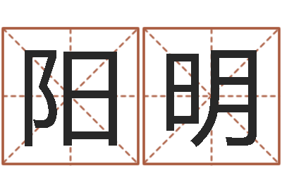 陈阳明阿启免费取名-我的本命年