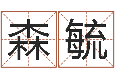 席森毓命运大全周易联合会-好的广告公司名字