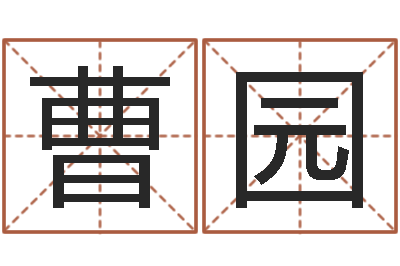 曹园问忞主-免费算命取名字