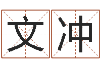 陈文冲还阴债新测名公司法-四柱预测视频