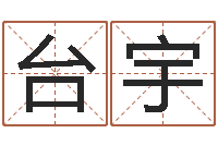台宇陈姓男孩起名-命运多