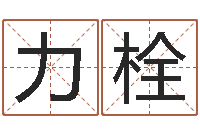 陈力栓免费起名器-儿童名字调命运集起名